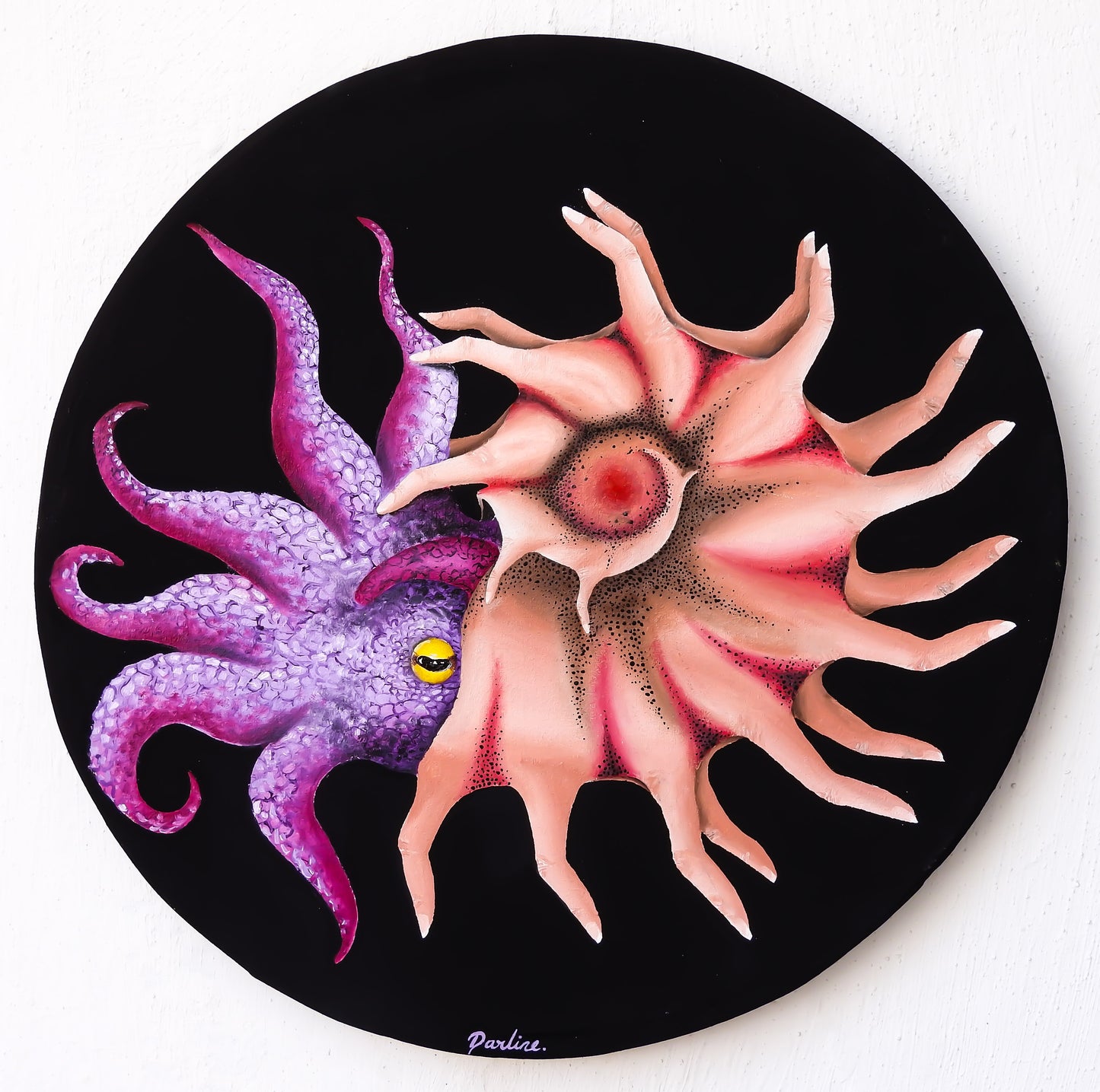 Cephalopoda