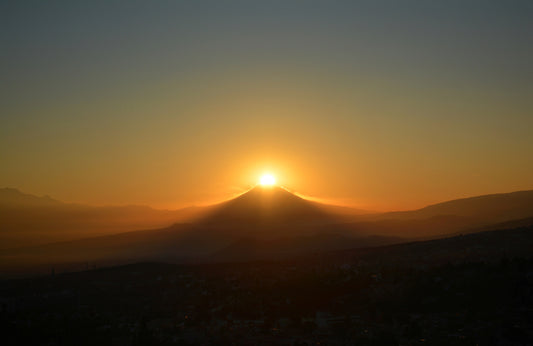 Sol Niño