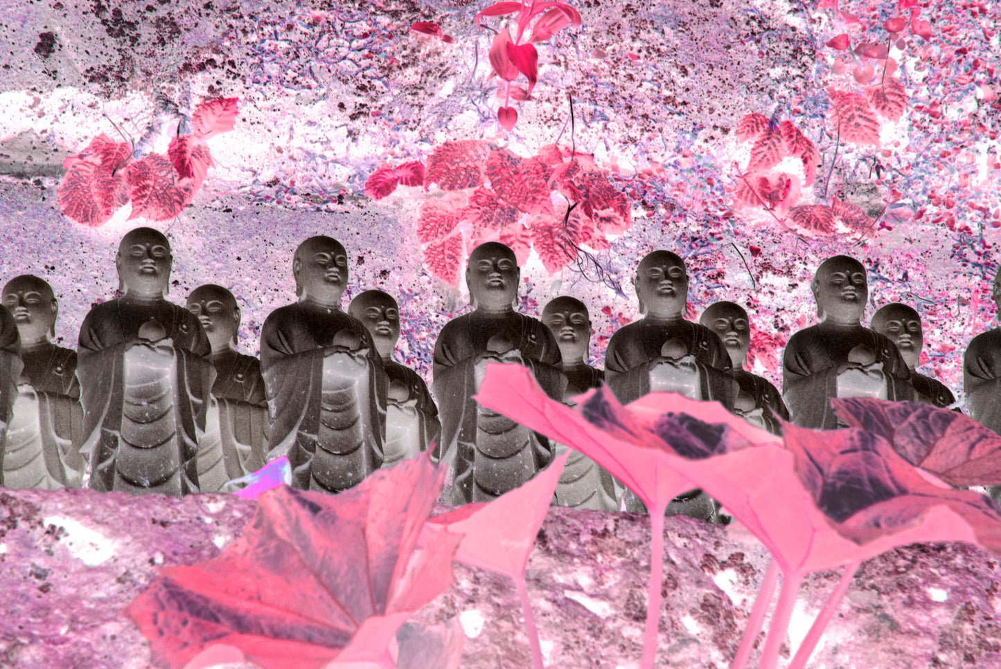 ME ABRO A LA EXPERIENCIA