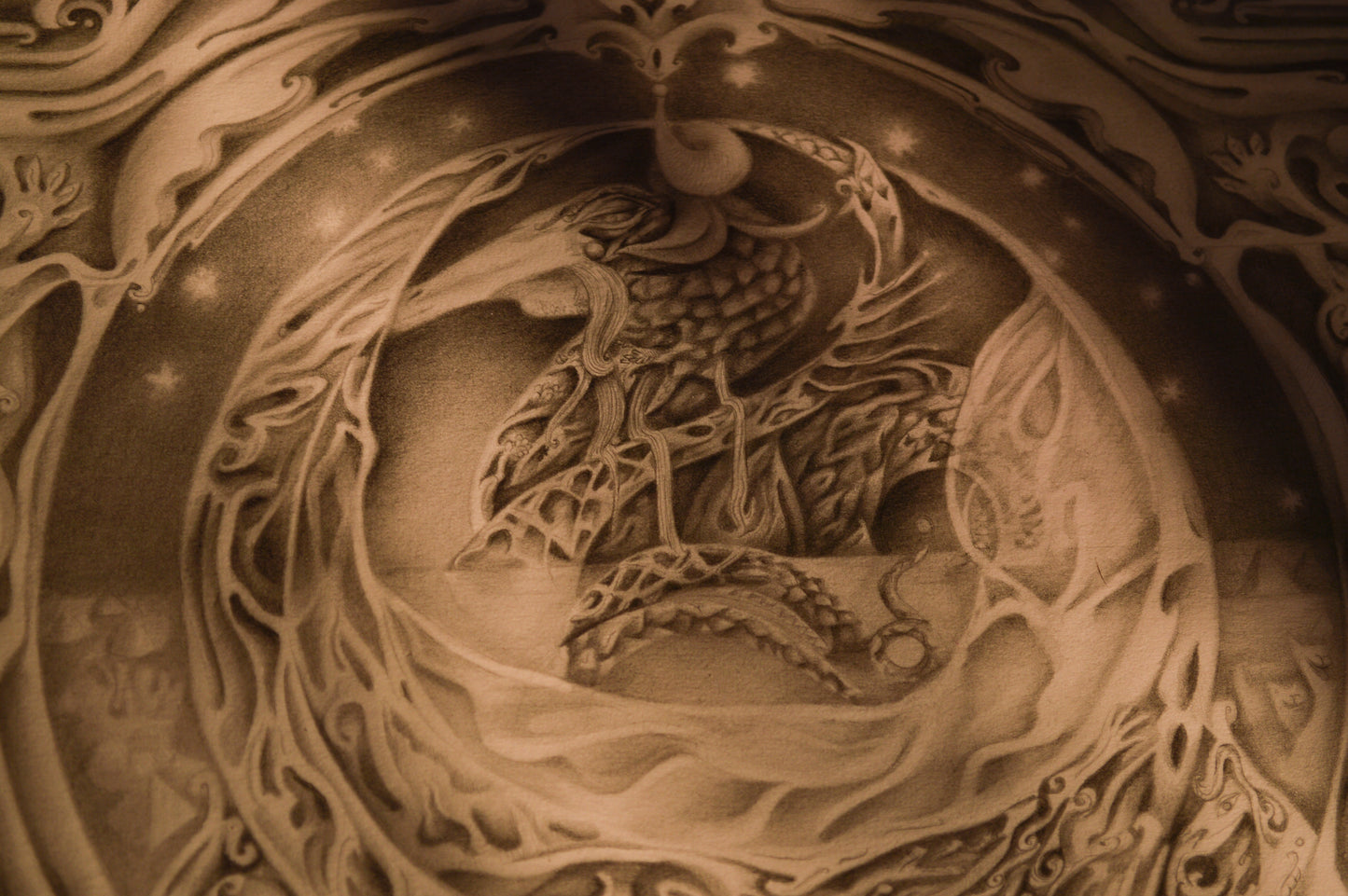 Adam Solus
