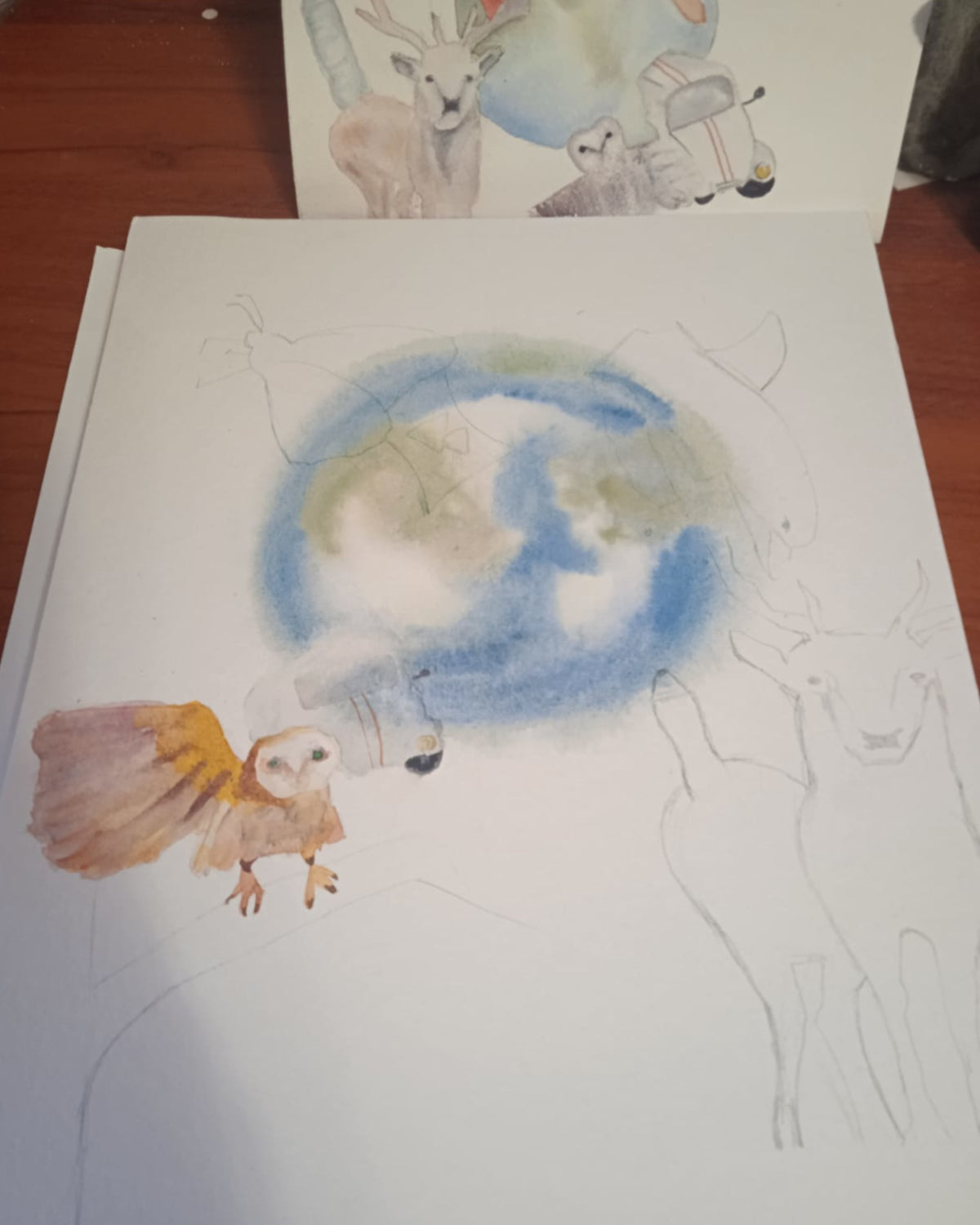 El Día Que la Tierra se Expandió