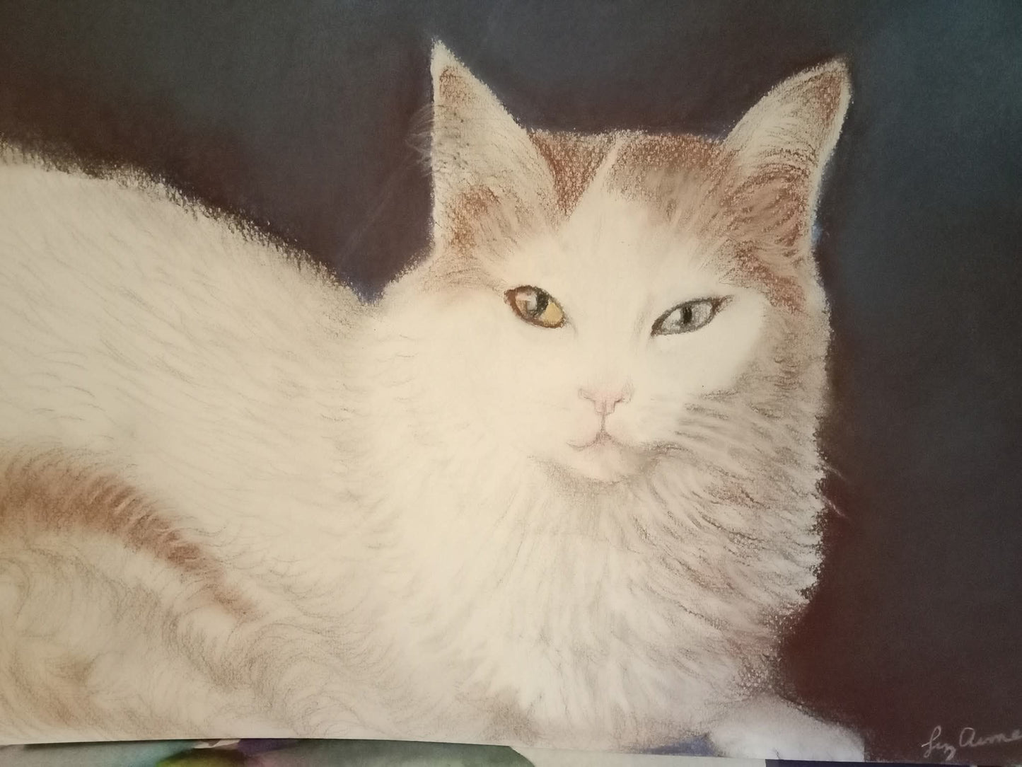 Gatita Nube