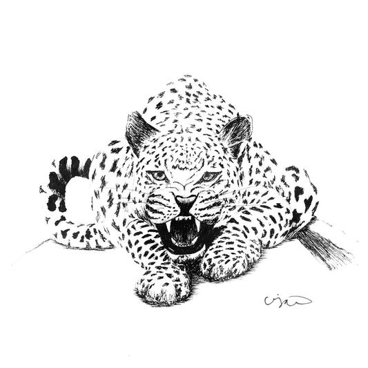 FIERCE