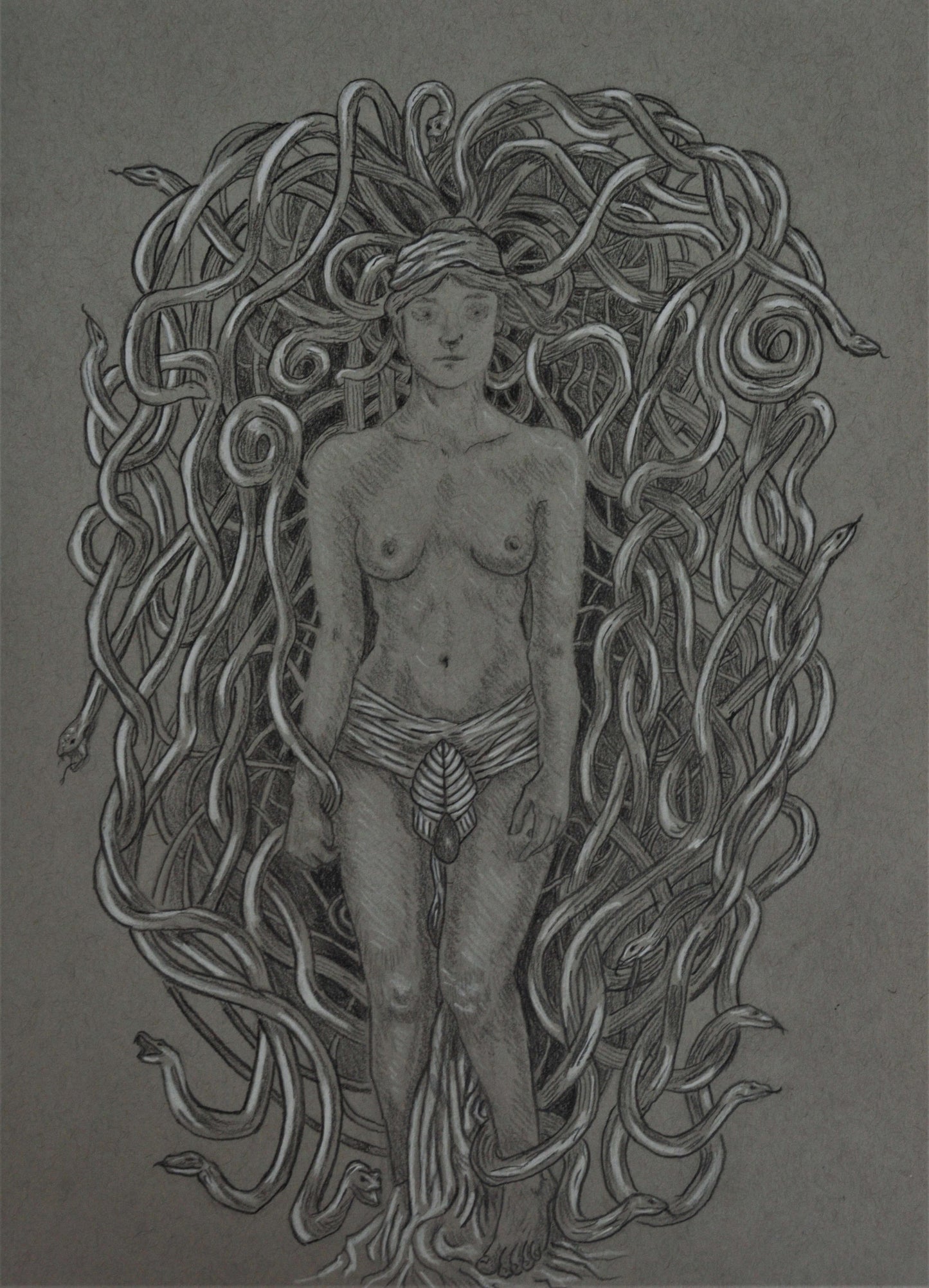 Medusa