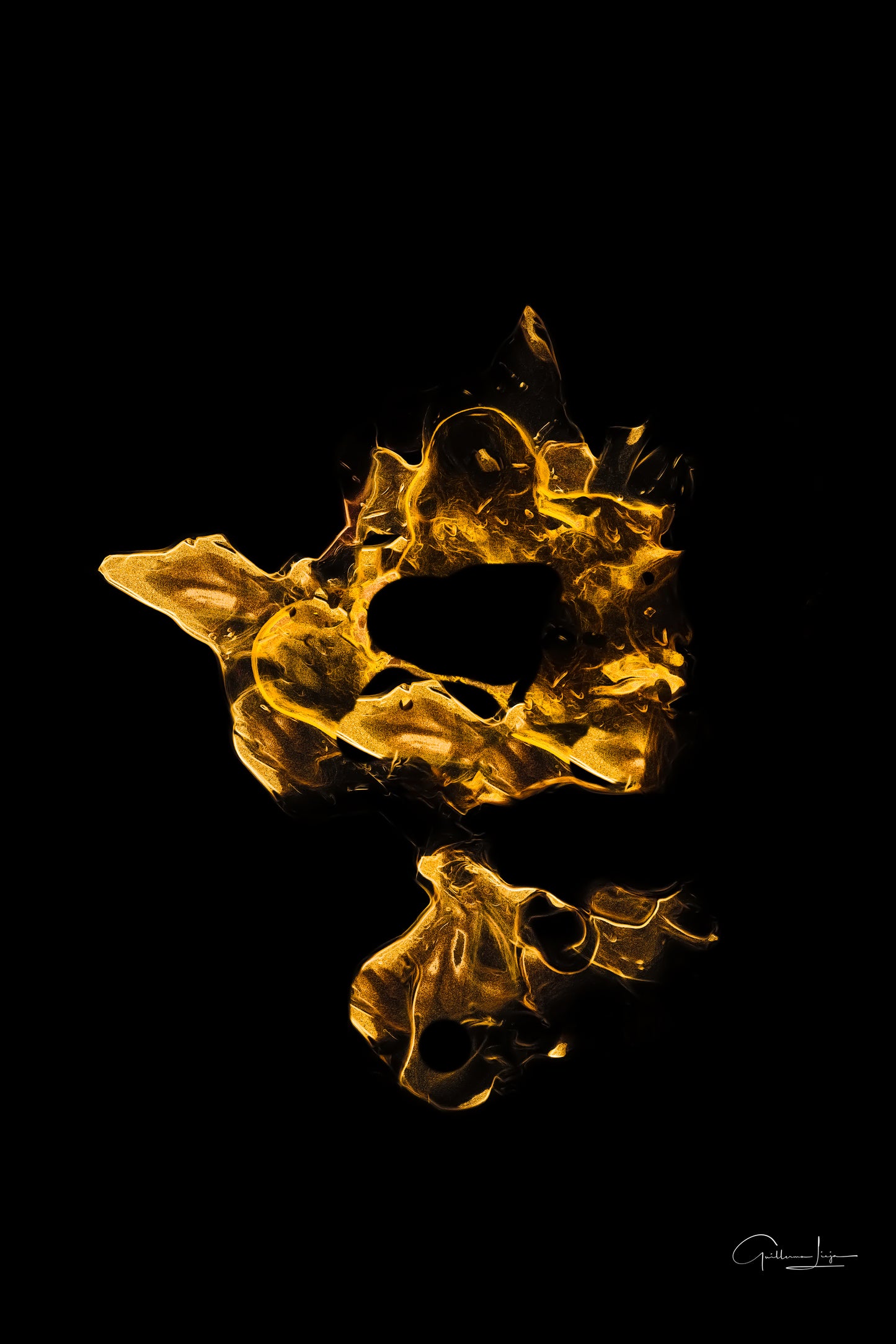 GOLDEN FIRE