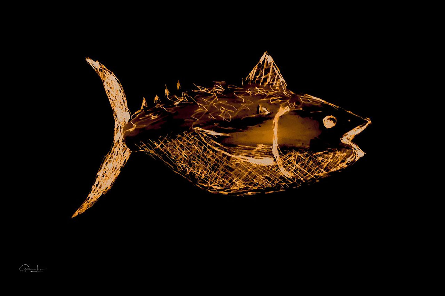 GOLDEN TUNA