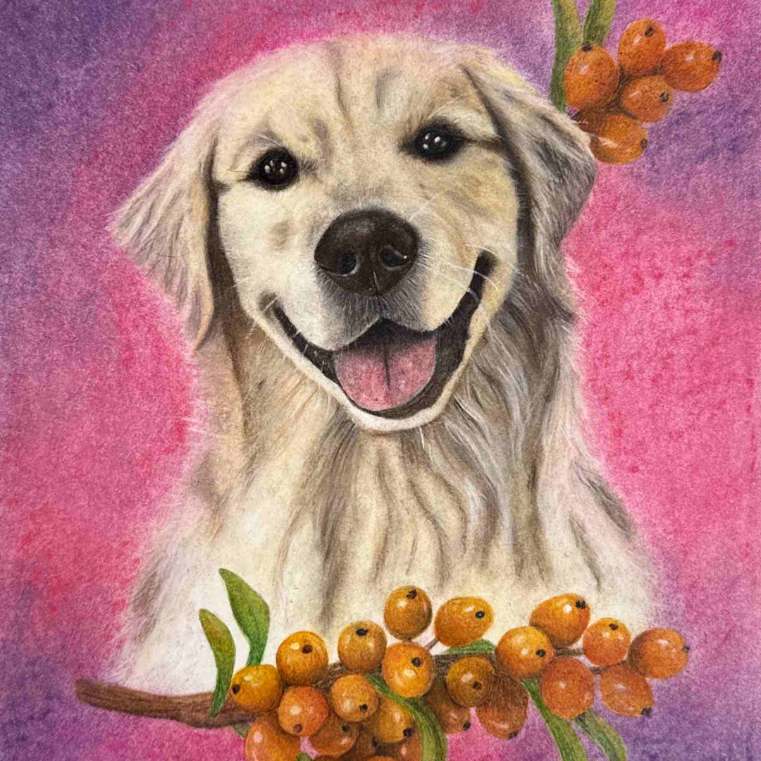 Happy dog III