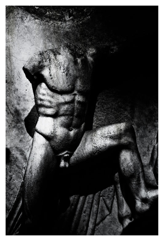 Human Body