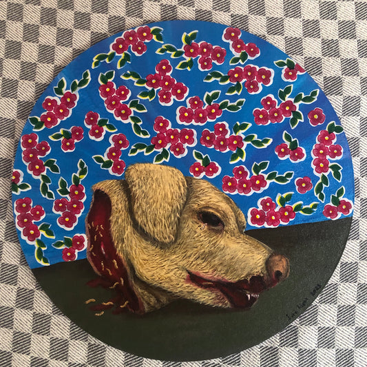 Perro