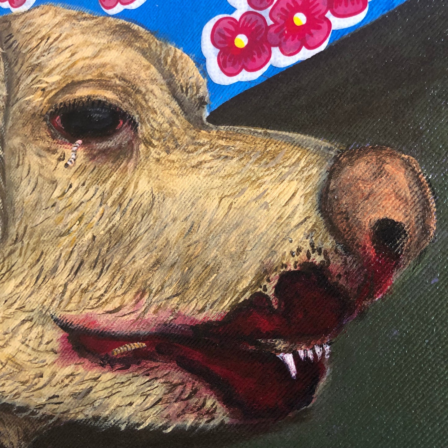 Perro