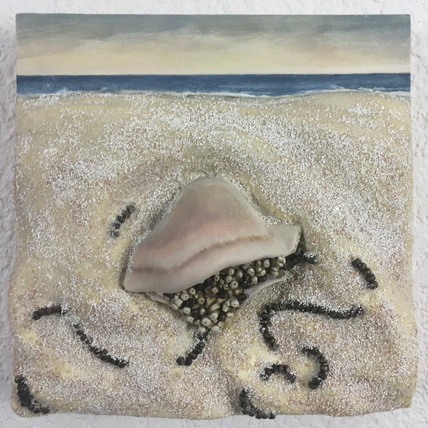 Sea Life