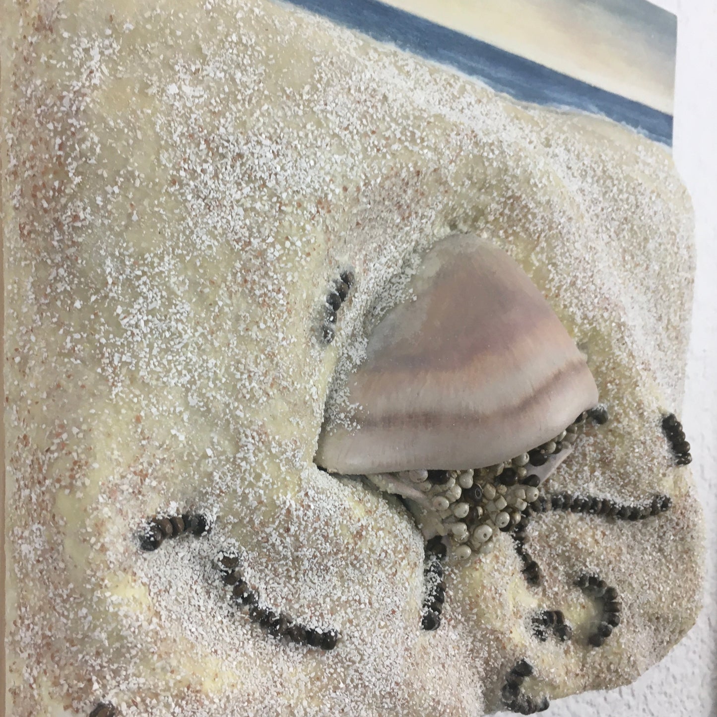 Sea Life