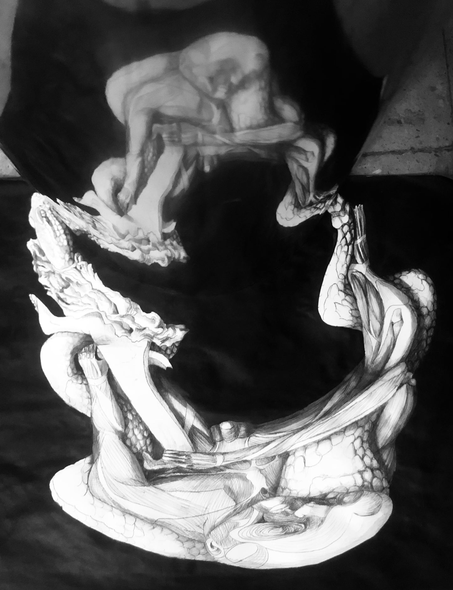 Anamorfosis I y III