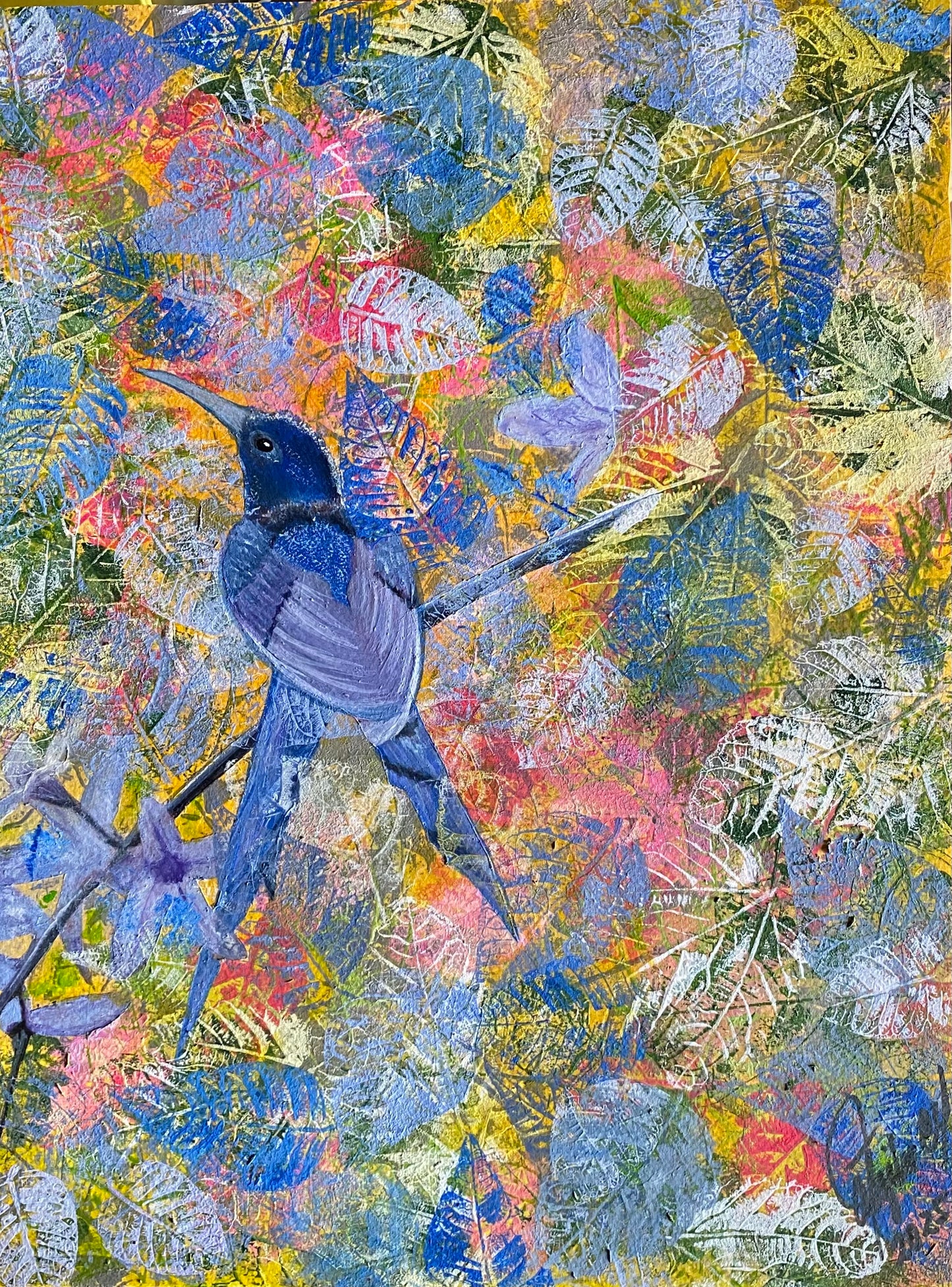 Colibrí golondrina