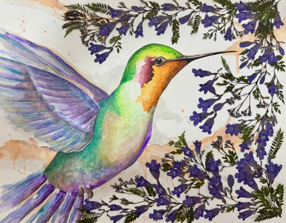 Colibrí con jacarandas