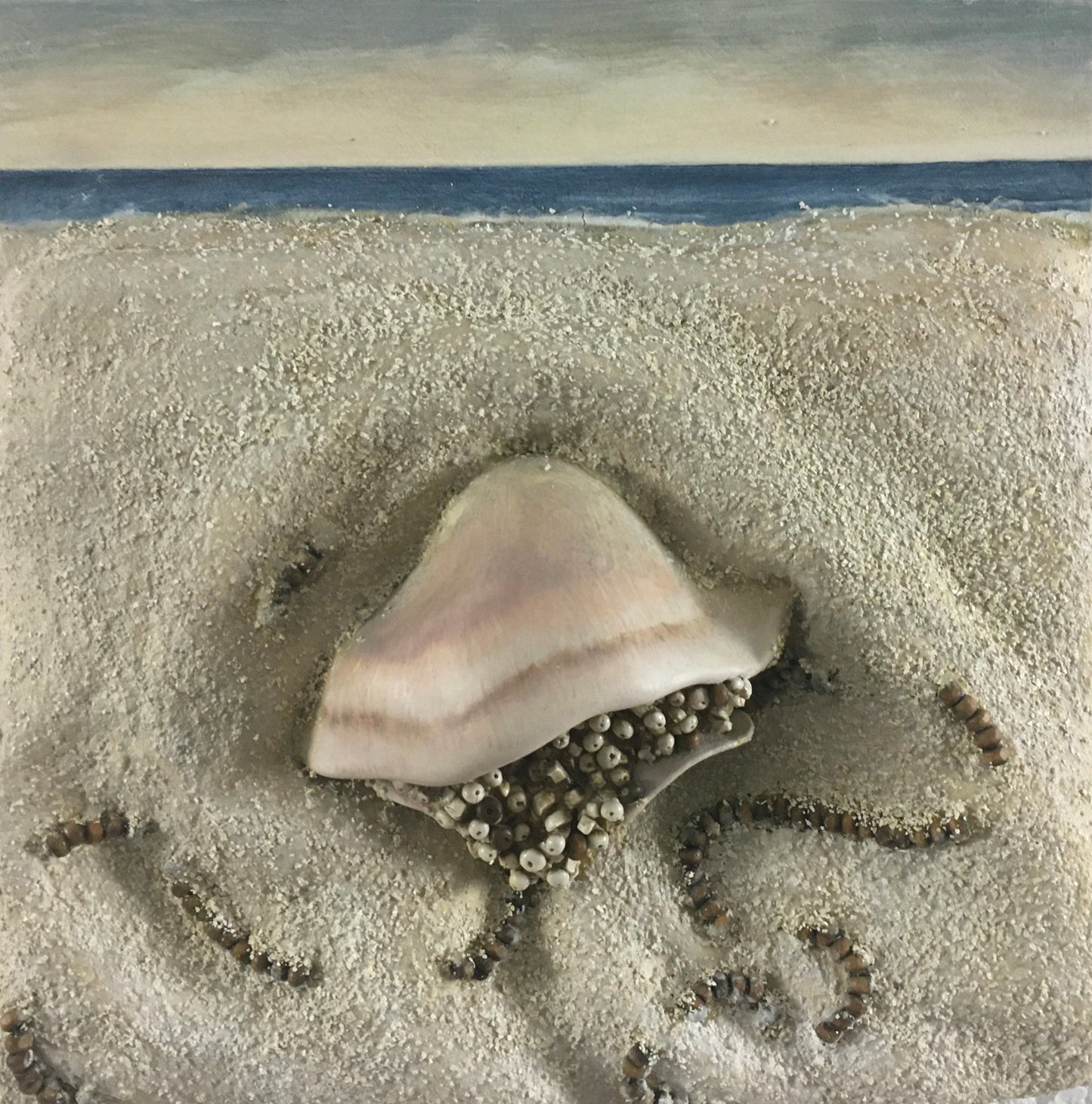 Sea Life