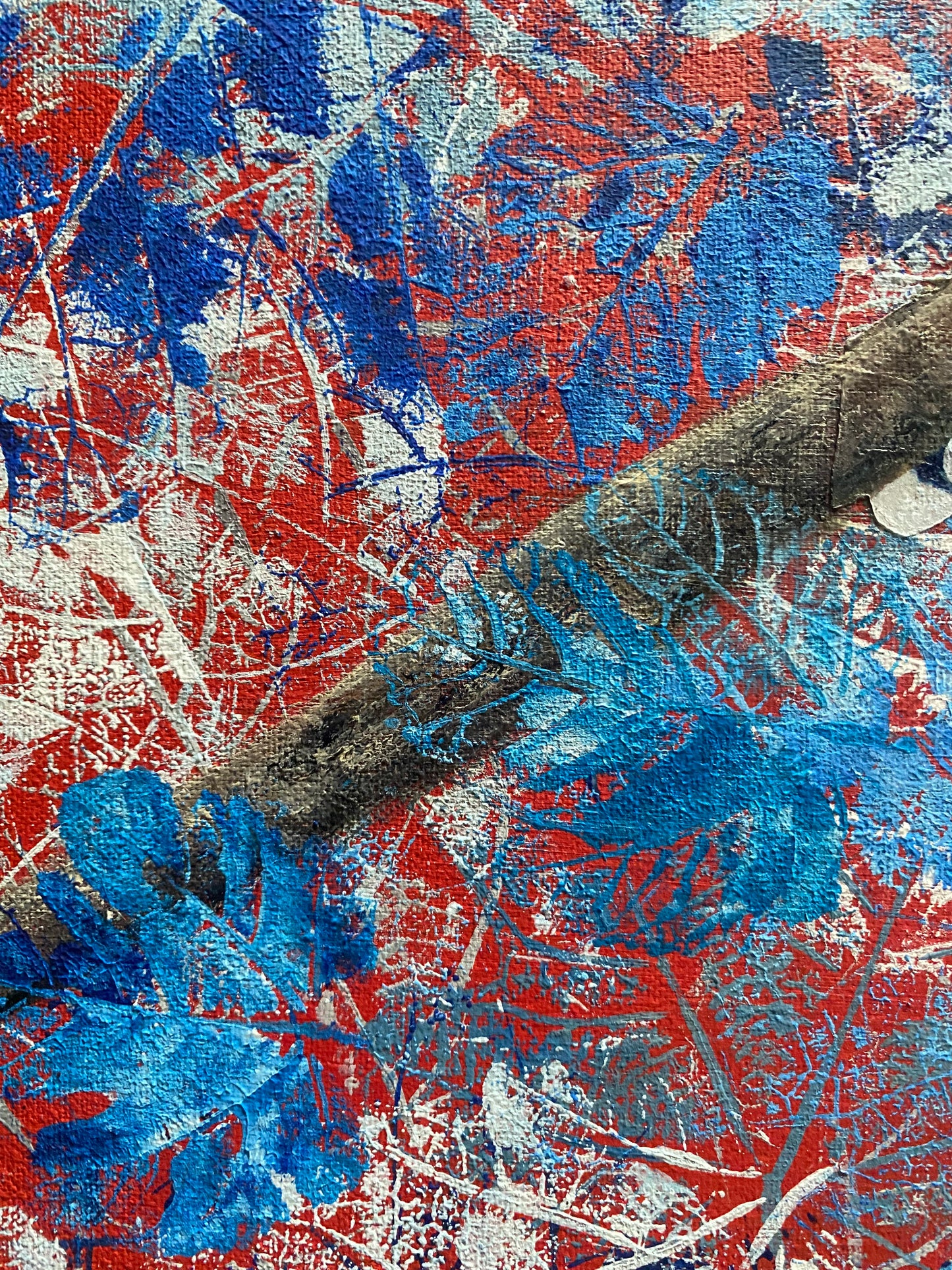 Tangara urraca en azul