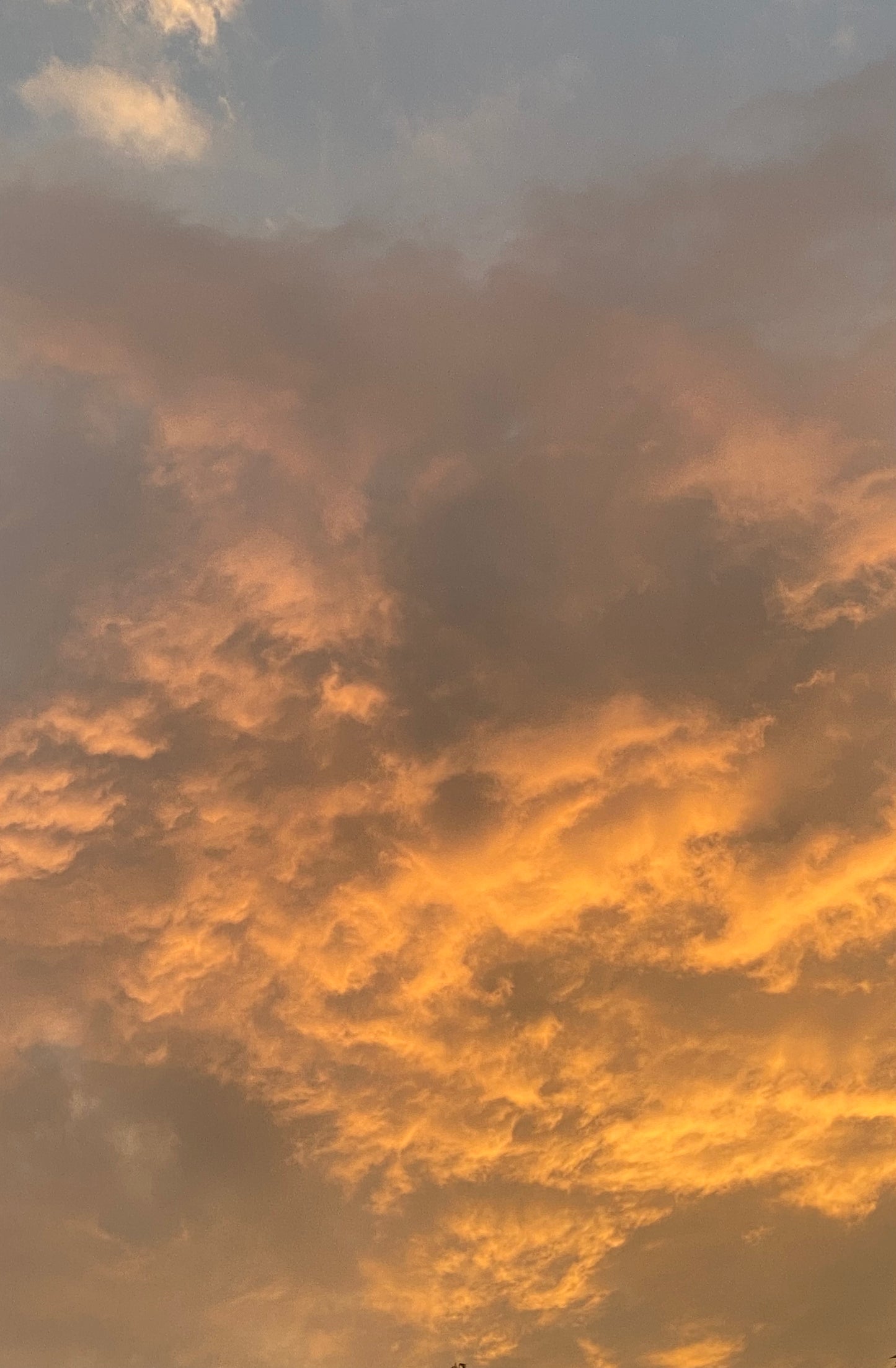 Yo te cielo