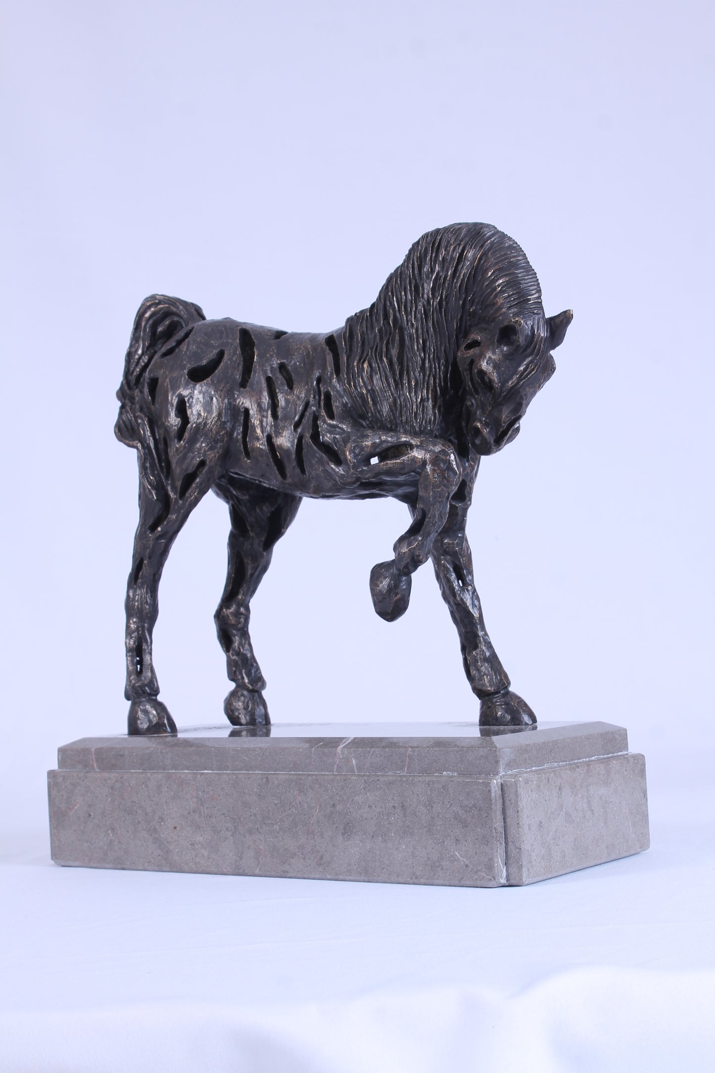 Caballo