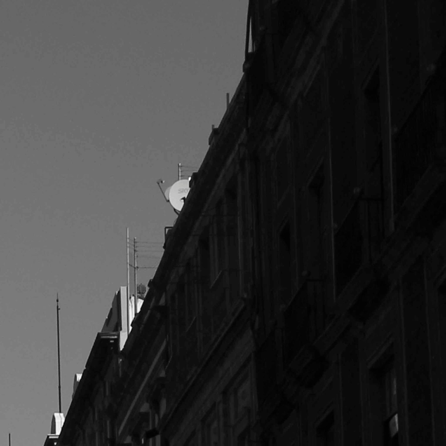 La sombra y la luz