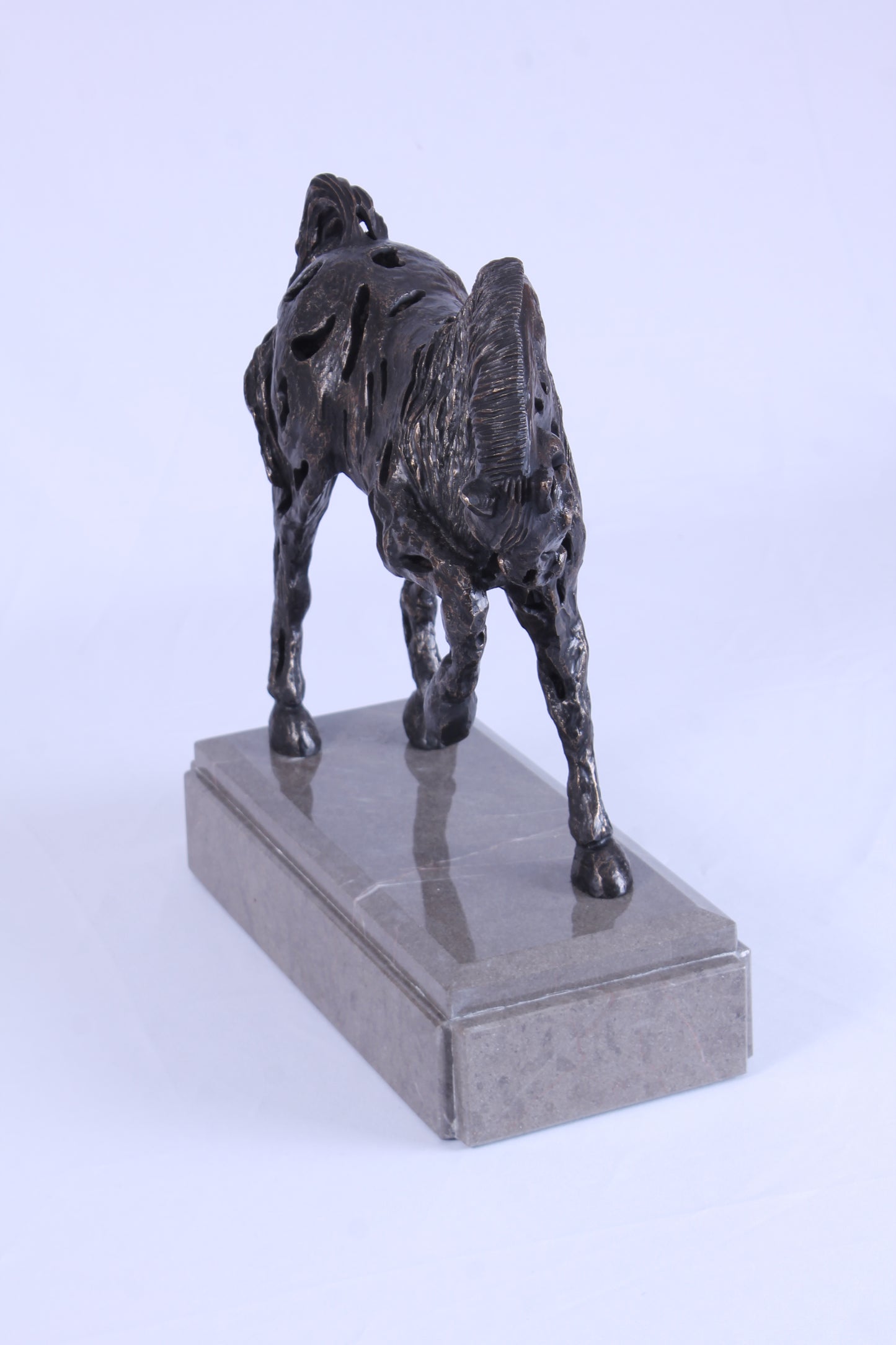 Caballo