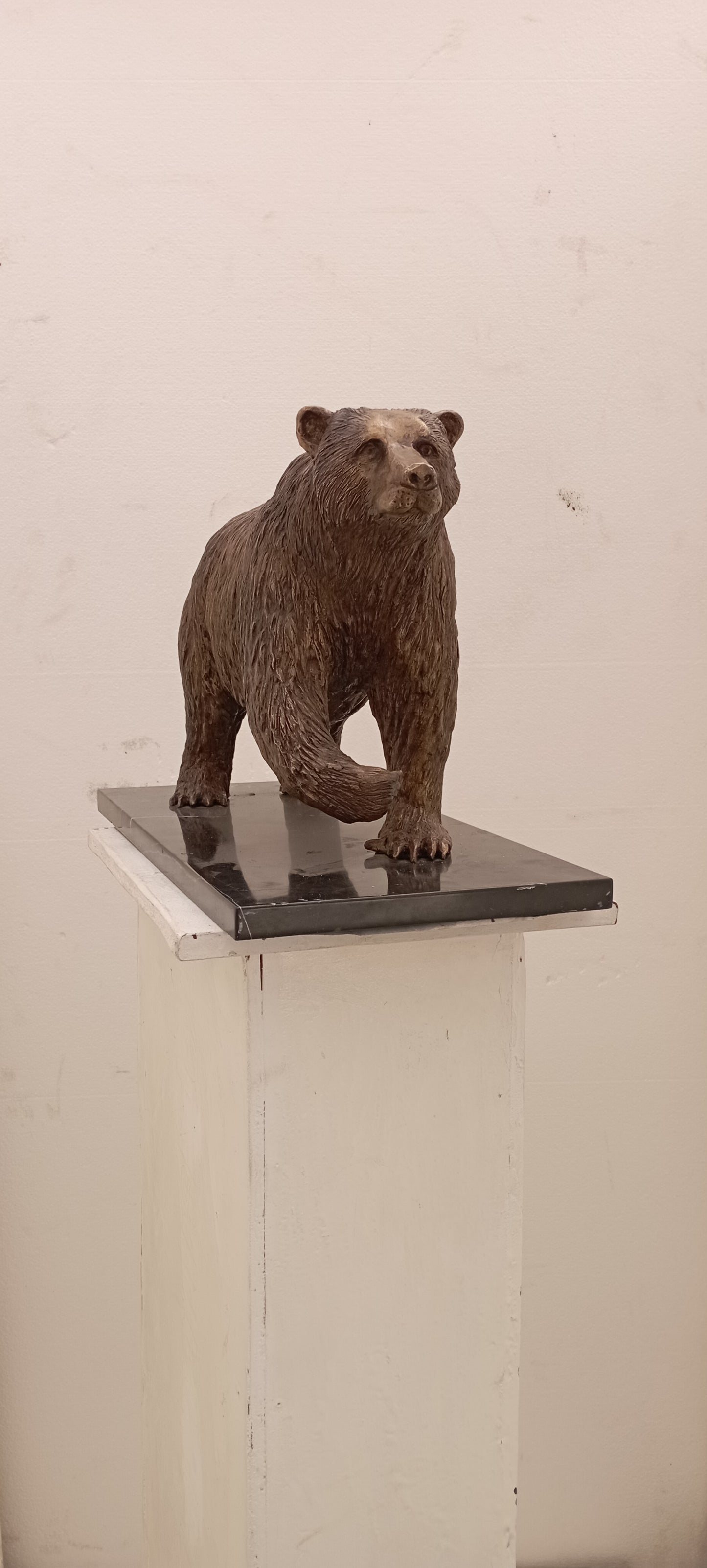 Oso