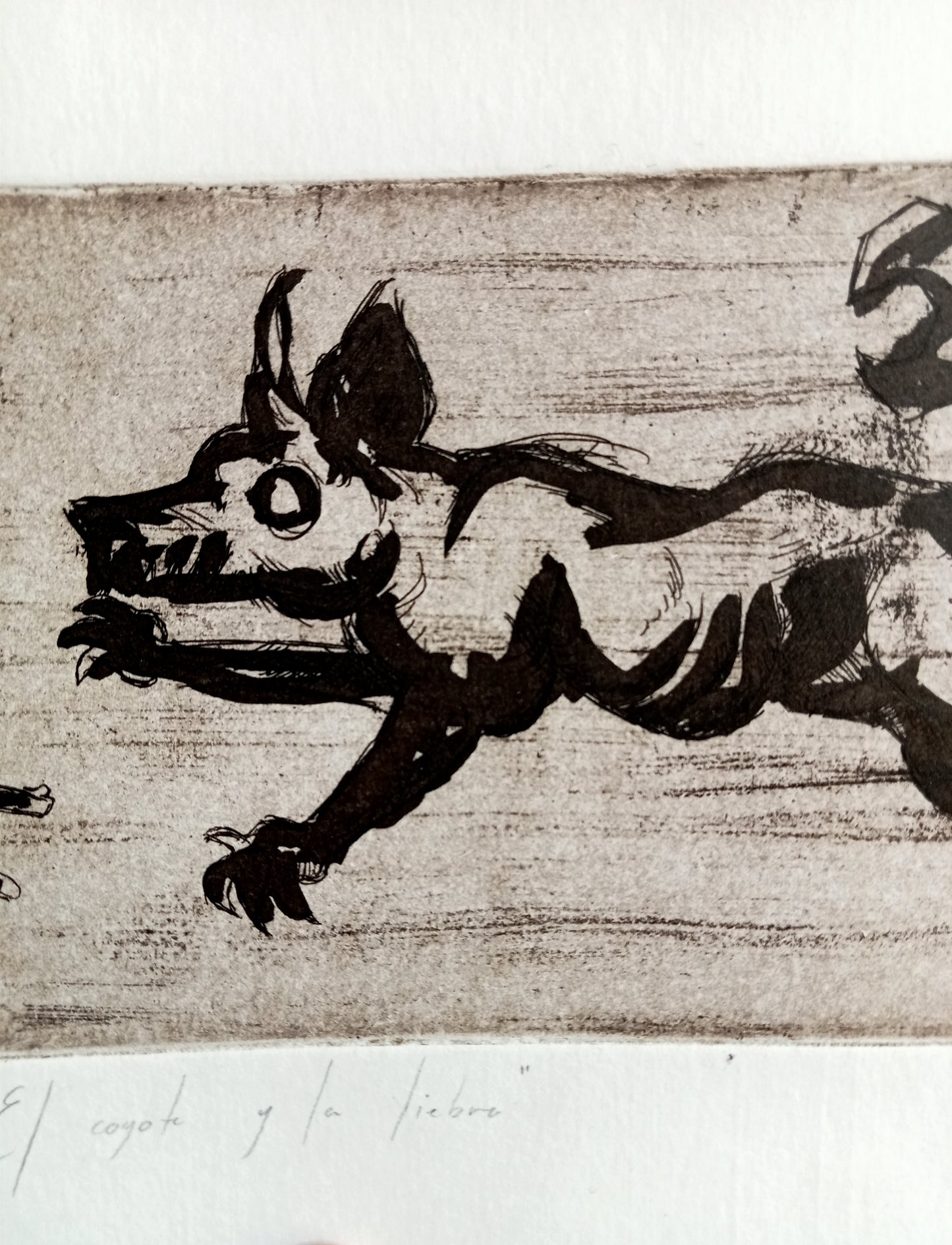 El Coyote y La Liebre