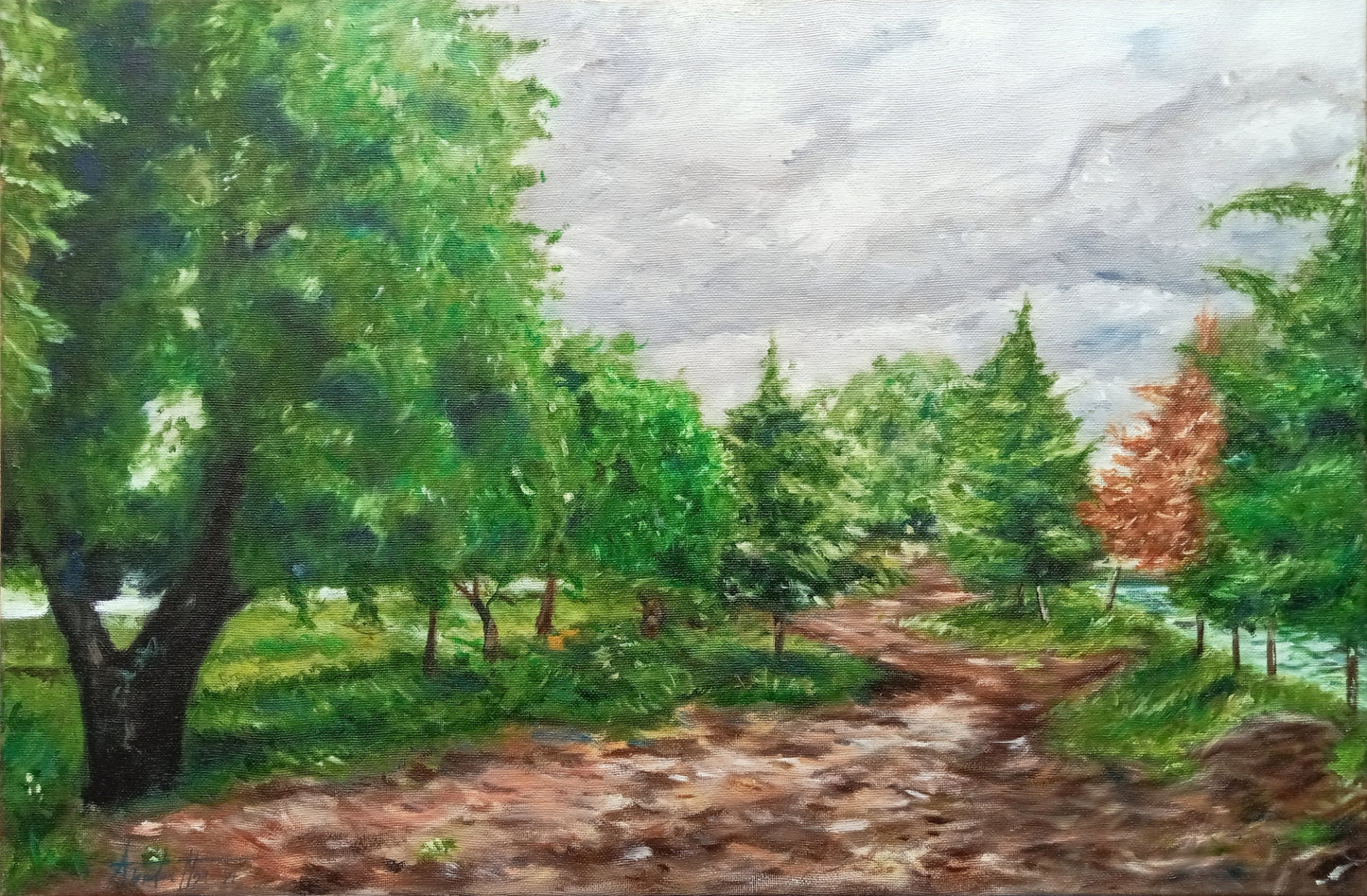 Paisaje Nublado