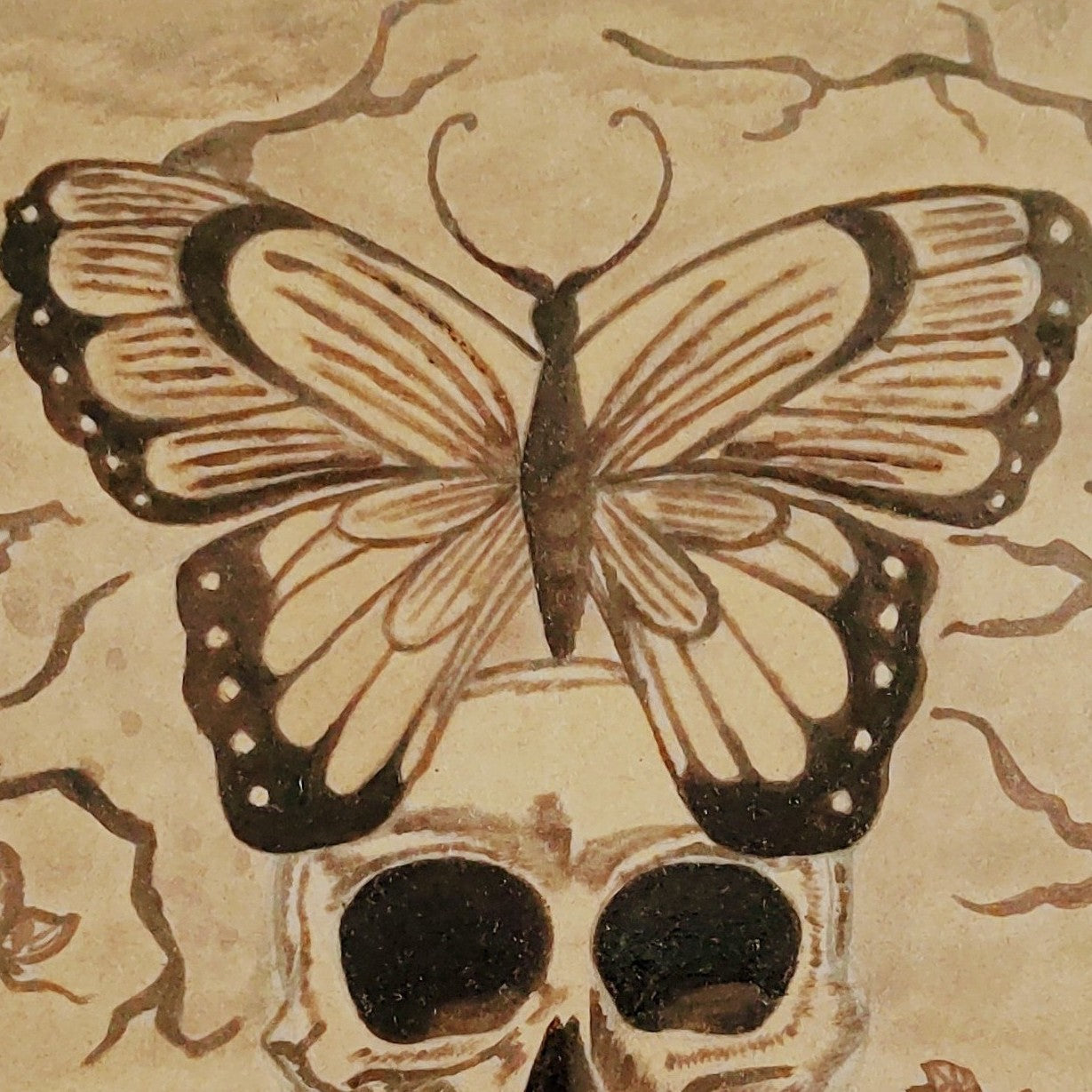 Mariposa De La Muerte