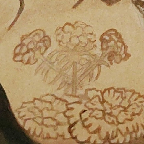 Mariposa De La Muerte