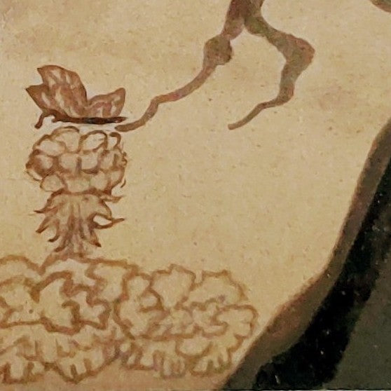 Mariposa De La Muerte