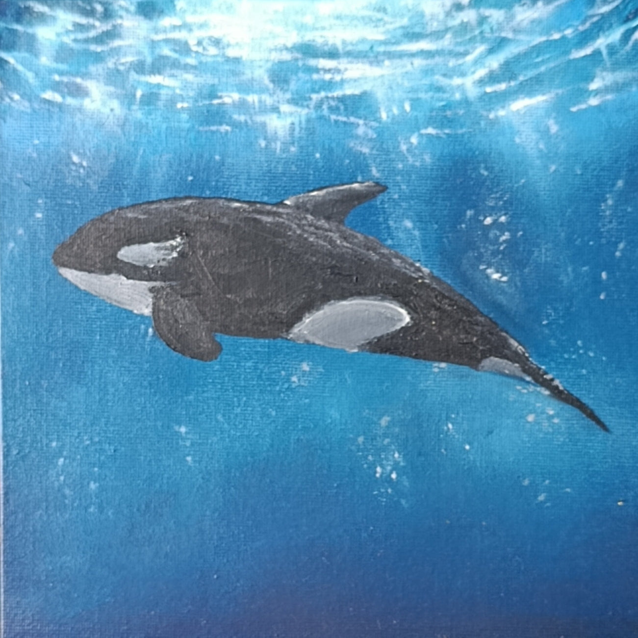 Orca