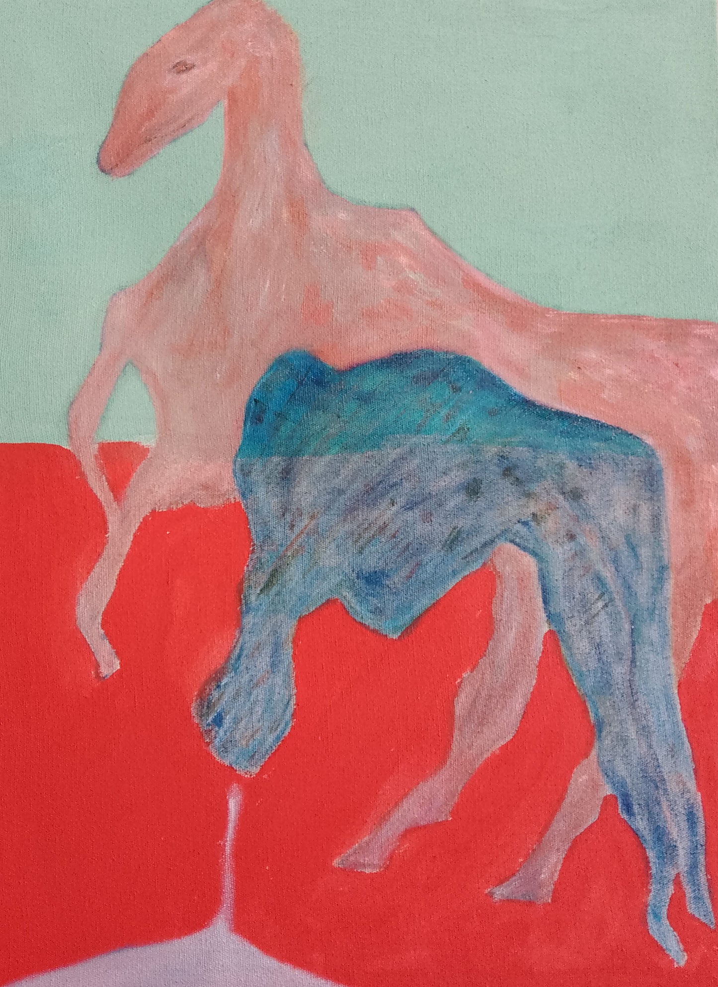 Wild horses