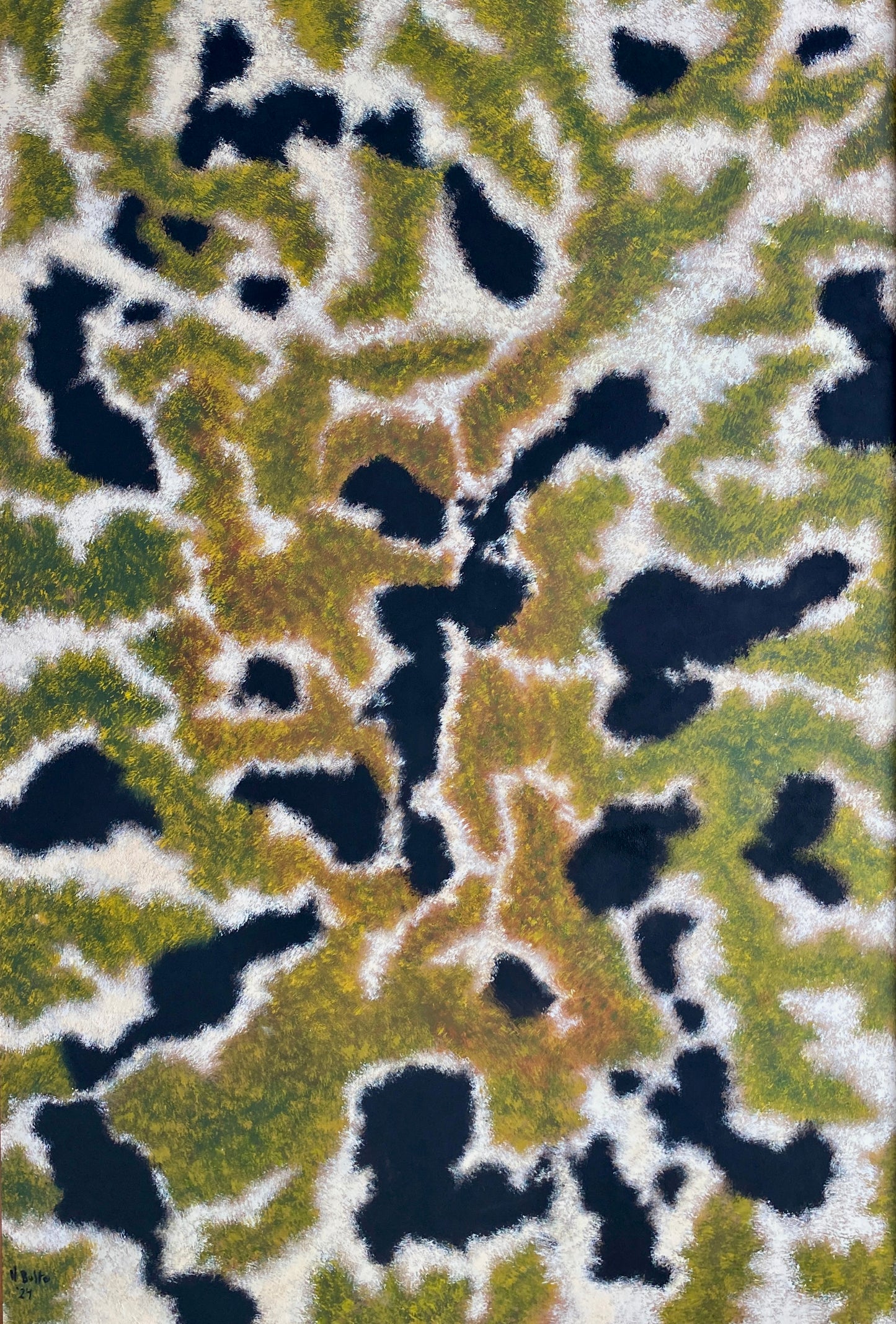 Pelitos 3; ó Dentro del bosque /Rorschach