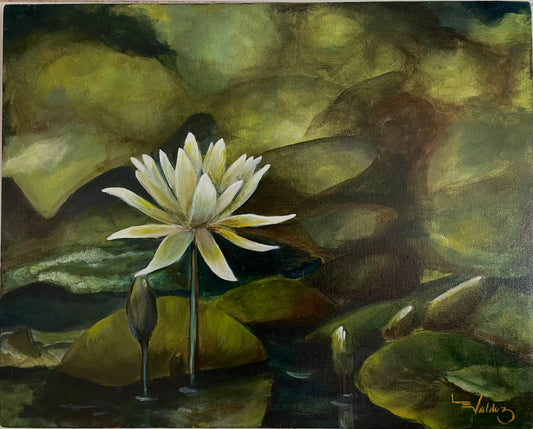 "Nenúfar de luz"