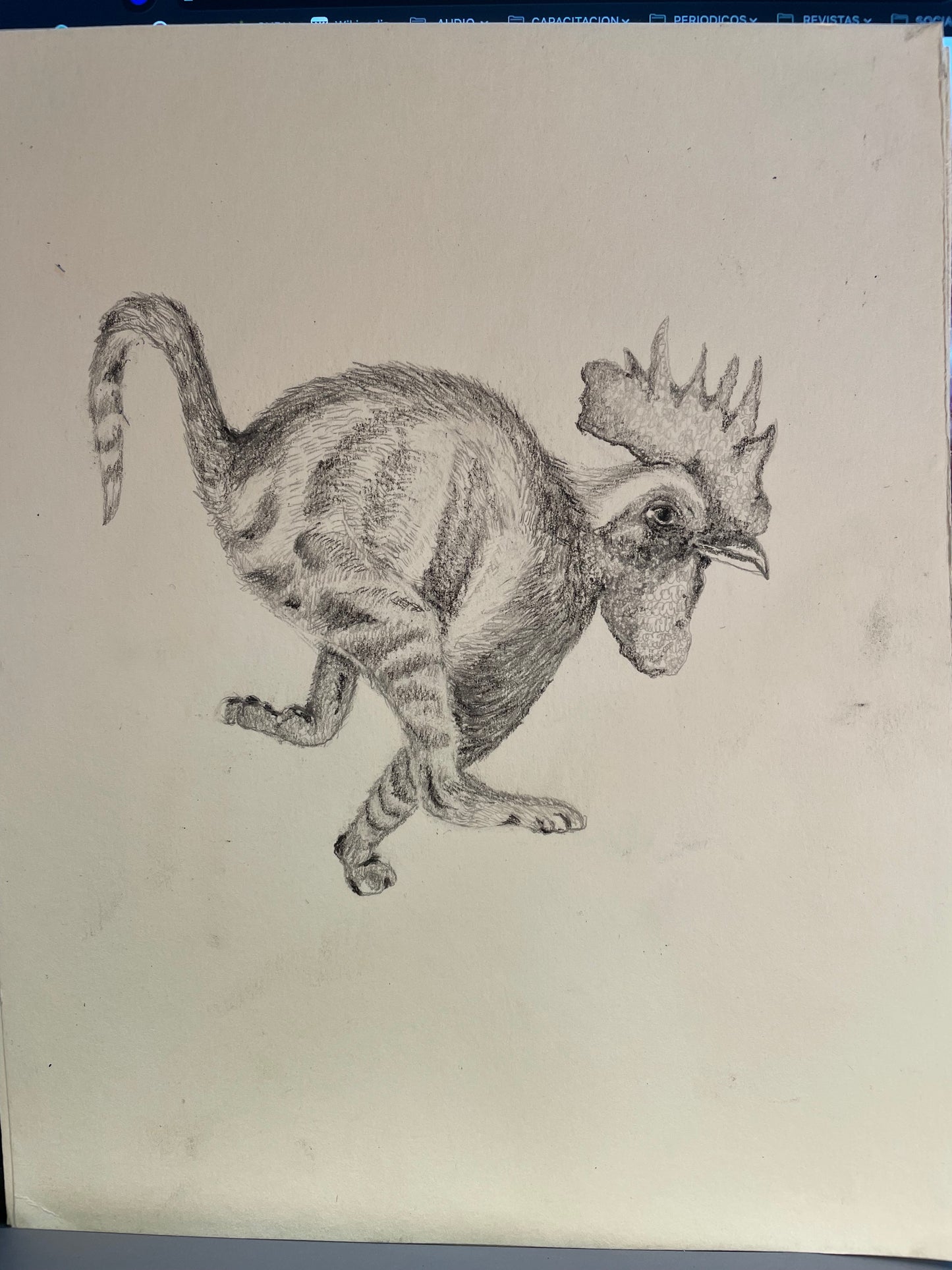 Gatollo