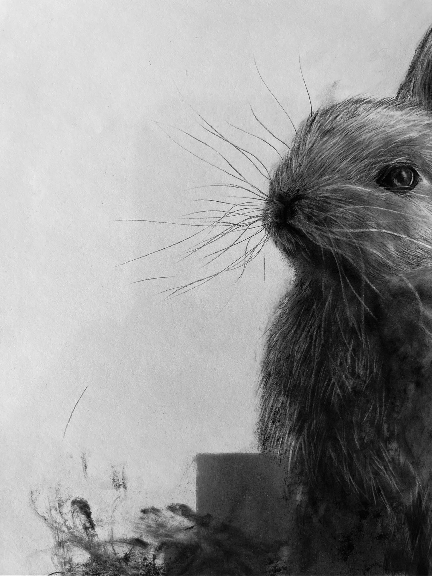 "Un instante tranquilo antes de que todo vuelva a moverse"