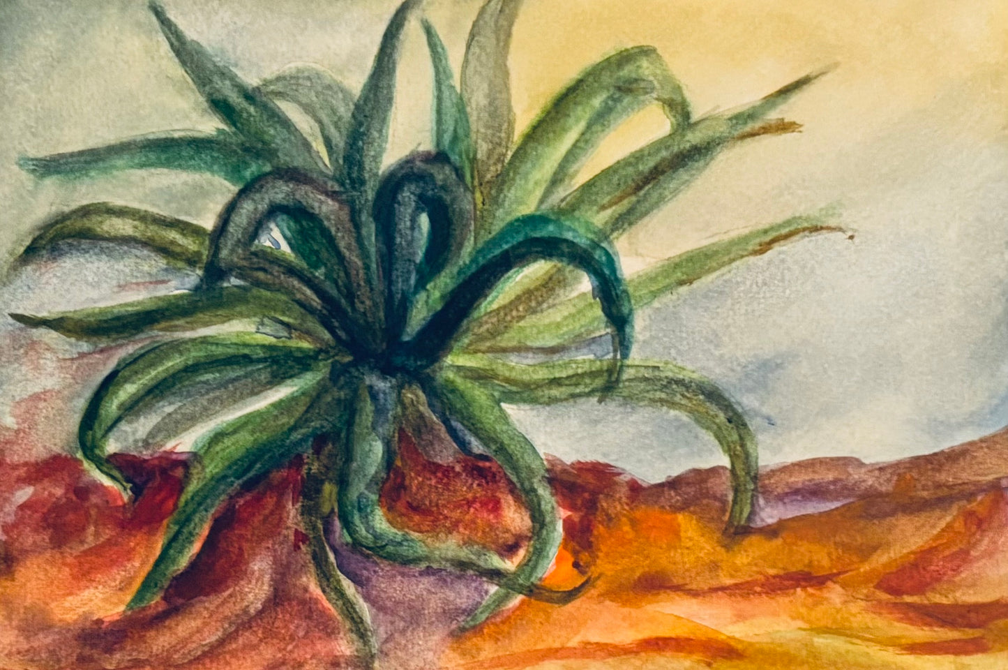 Maguey
