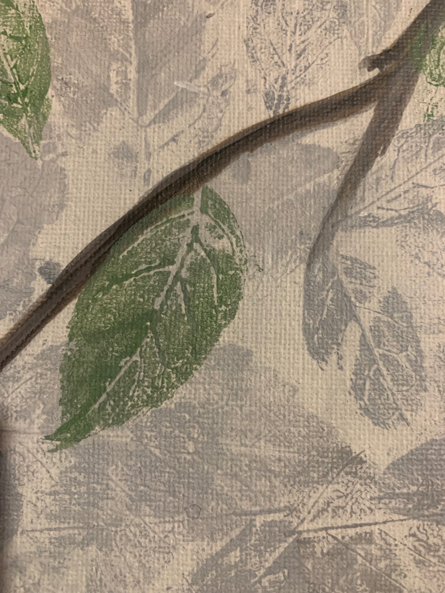 Cotinga púrpura en solitud