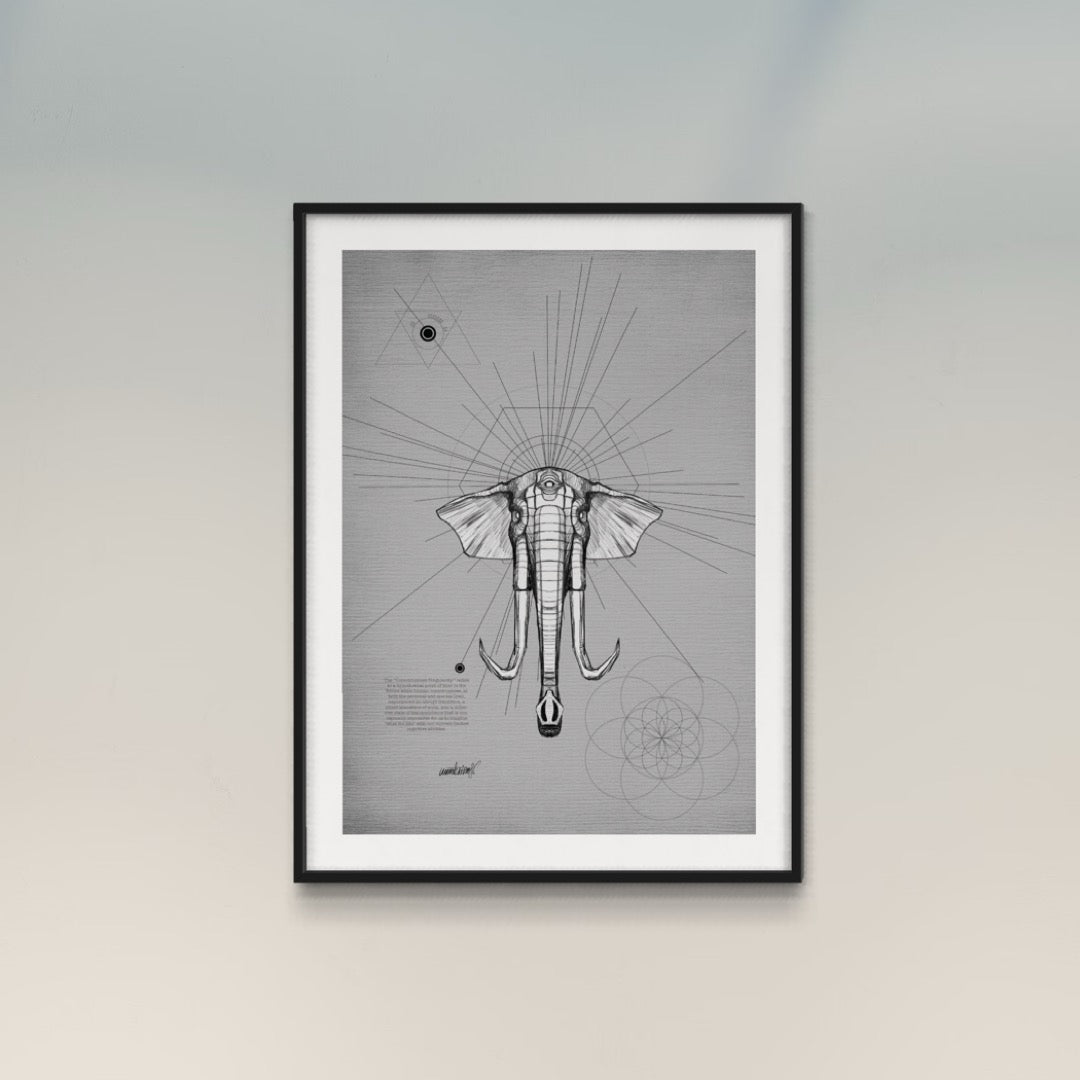 SINGULARITY