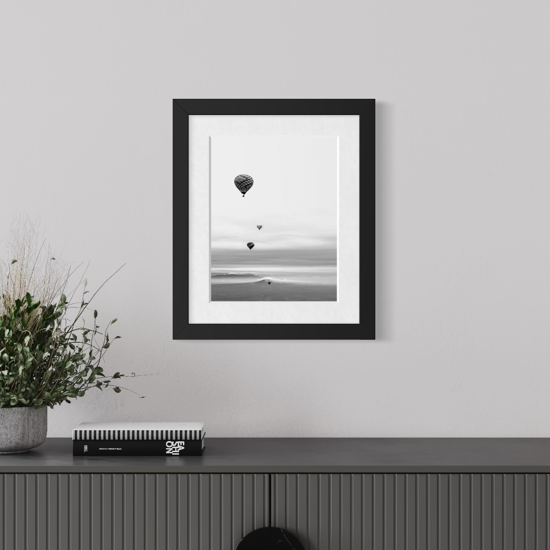 Fotografía blanco y negro - Vuelo