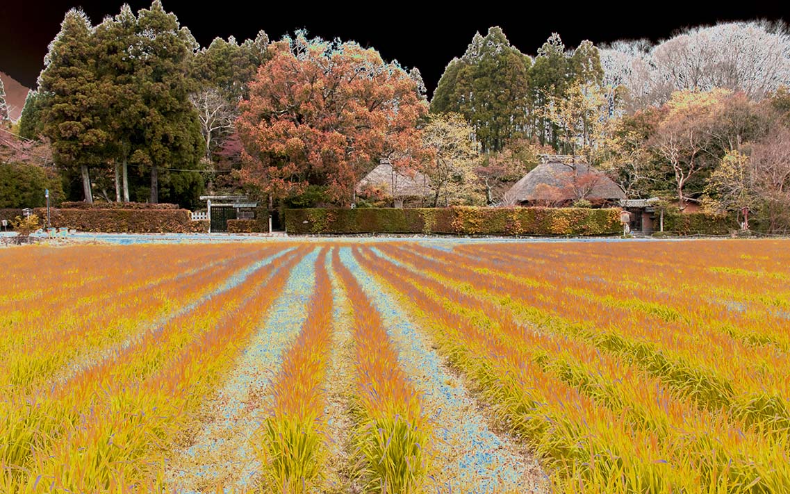 ELIJO LO MEJOR PARA MI