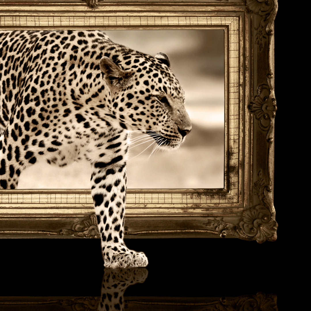 LEOPARDO
