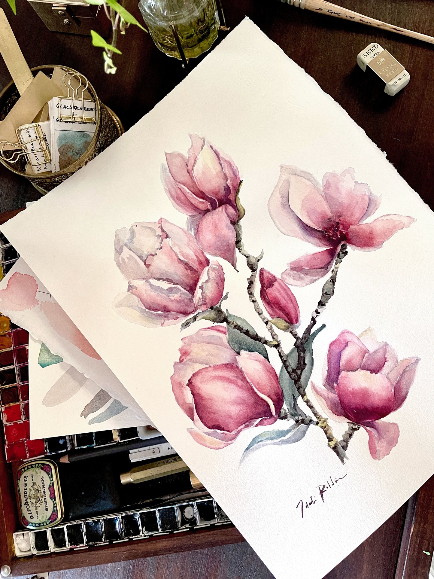Blooming In The Cold