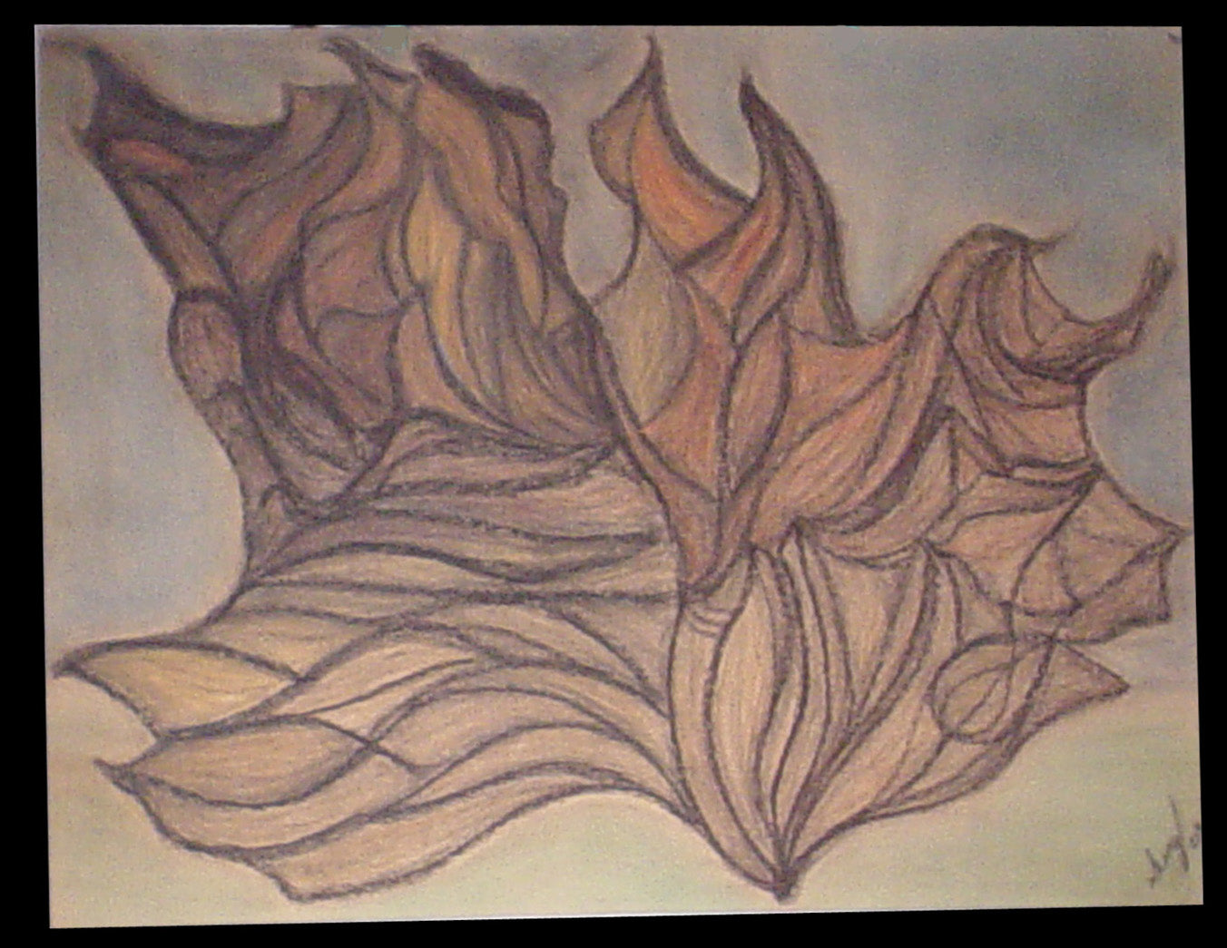 METAMORFOSIS