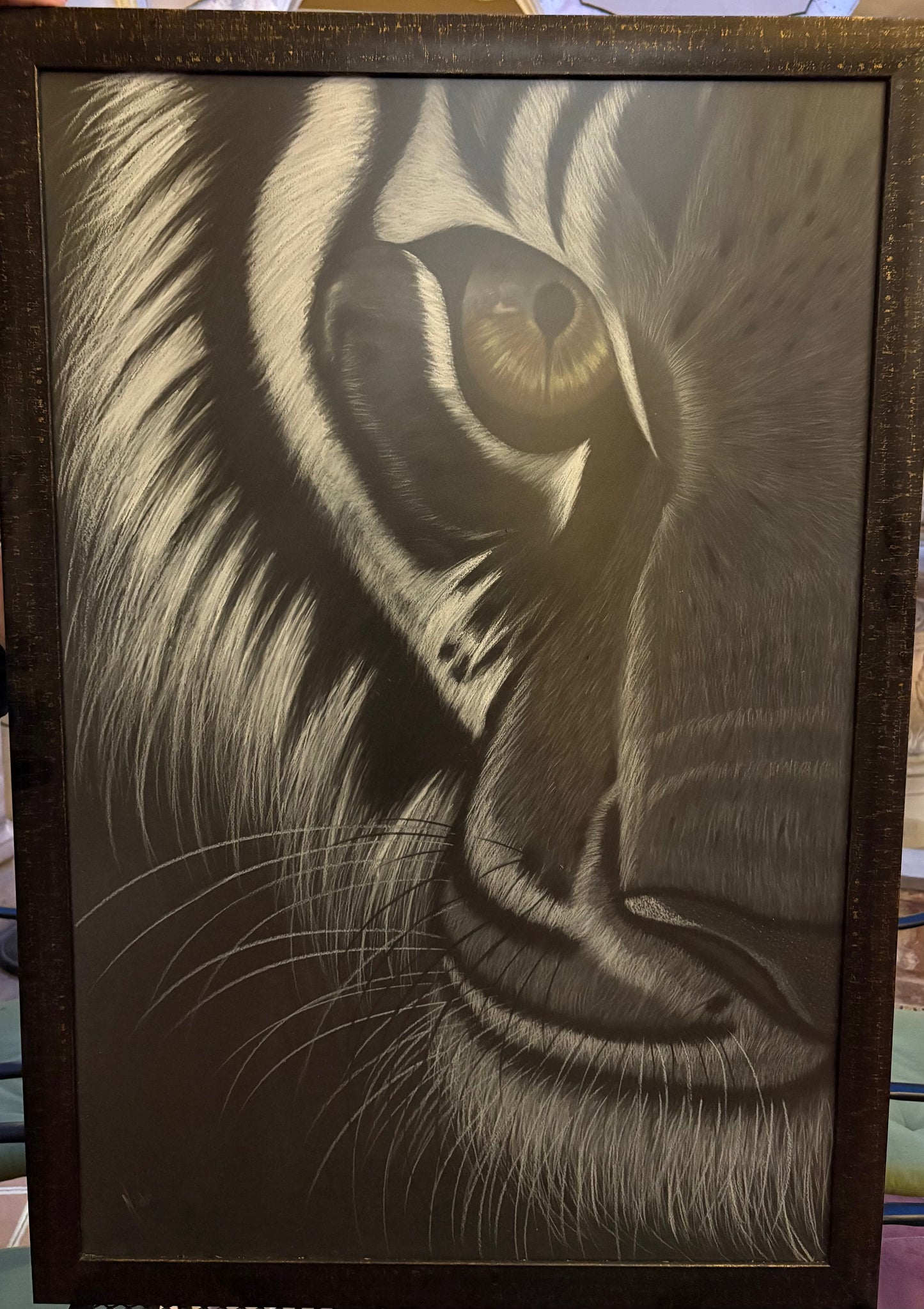 Mirada Fragmentada