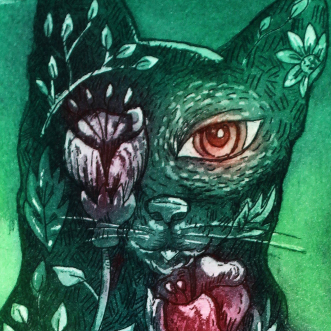 "Misifus"
