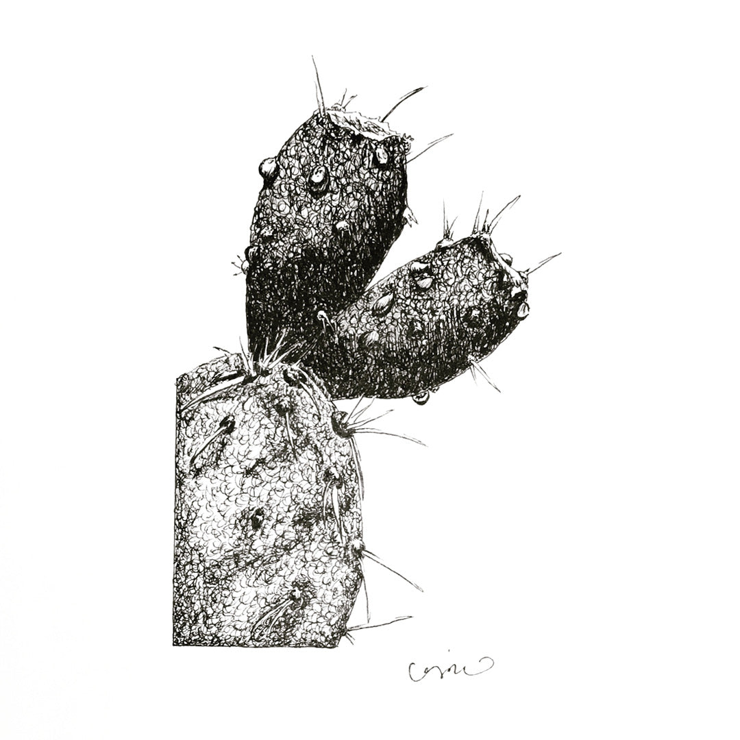 PRICKLY