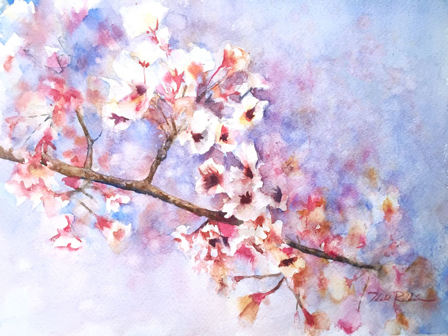 Primavera