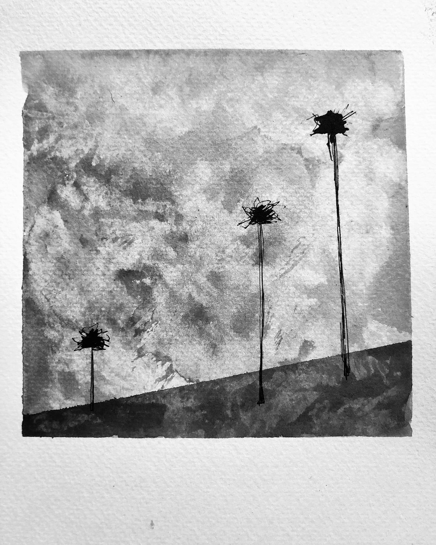 Paisaje 1